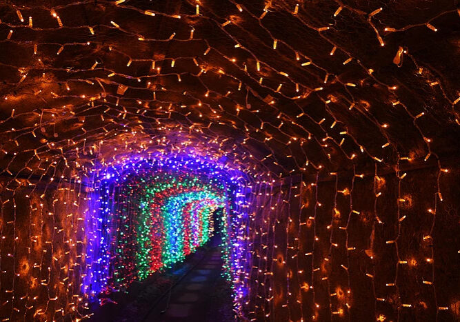 Christmas-Tunnels-From-Barrels