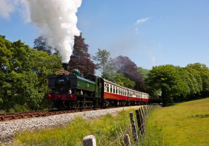 Cornish-Belle-Credit-to-Barry-Bateman-Photography-1-1024x683