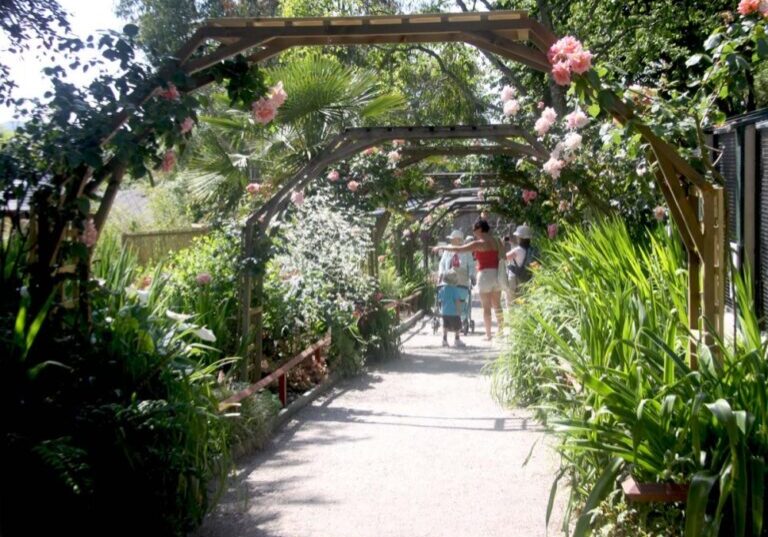 Rose-arches-in-the-walled-Garden-at-Paradise-Park-1000x721