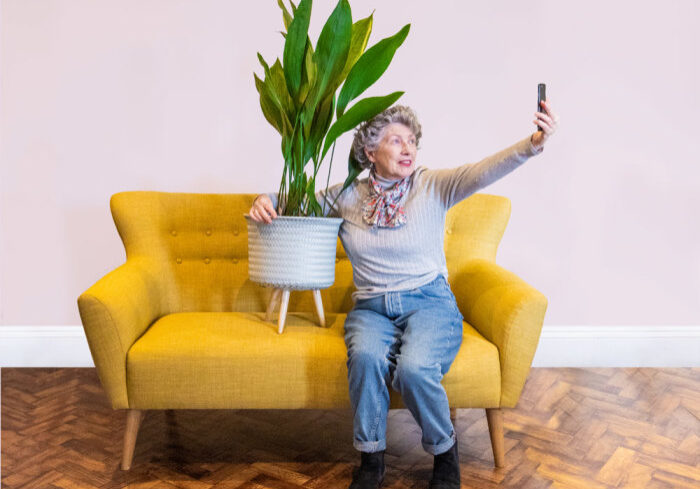 Trebah houseplant