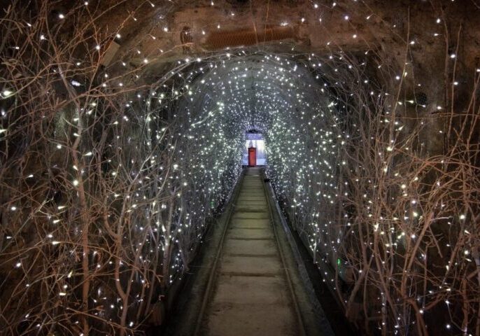 Photographs by Emily Whitfield-Wicks
Snow Globe and Lights Tunnel of Lights.  Shipwreck Museum,  Chalrestown.  Visitor Engagement Manager Lynné Raubenheimer.